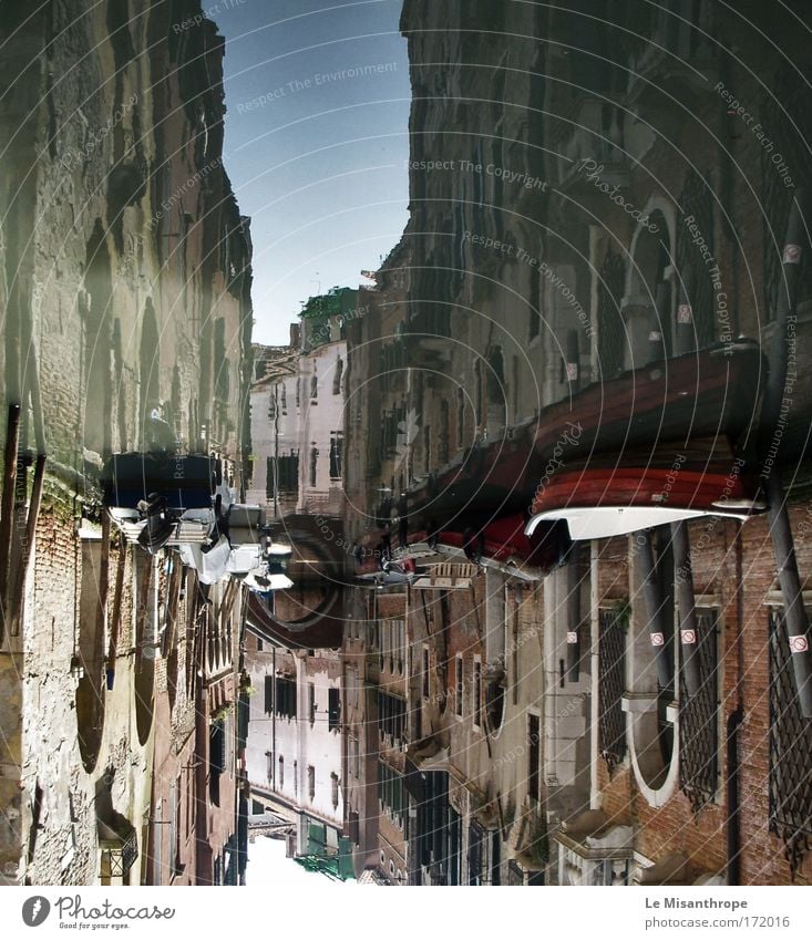 They will suck you down to the other side Colour photo Exterior shot Day Environment Landscape Water Sky River Canal Grande Venice Italy Fishing village