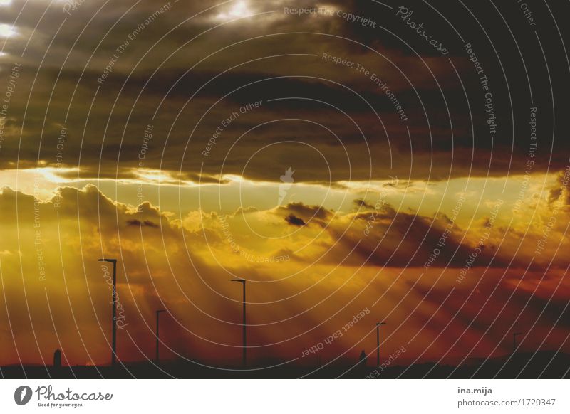 a day comes to an end Environment Nature Sunrise Sunset Sunlight Climate Climate change Weather Gold Orange Black Adventure Loneliness Apocalyptic sentiment