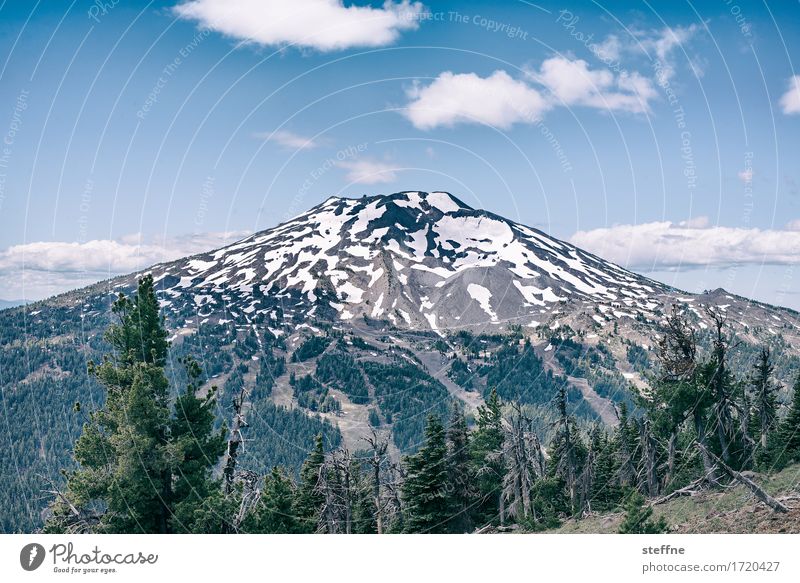 Mt. Fuji, at least almost. Nature Landscape Sky Summer Beautiful weather Mountain Peak Snowcapped peak Volcano Idyll Tourism Vacation & Travel Hiking Oregon USA