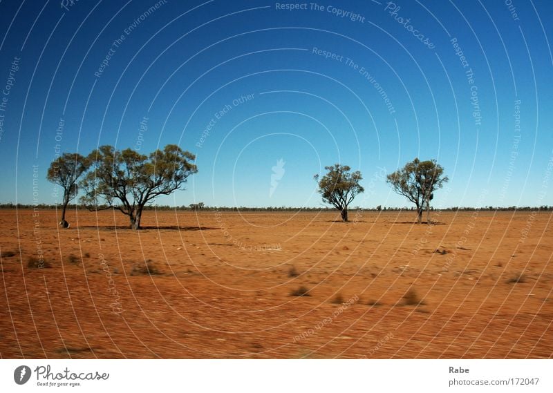 Outback 2006 Colour photo Exterior shot Deserted Copy Space top Copy Space bottom Day Sunlight Motion blur Central perspective Vacation & Travel Tourism Trip