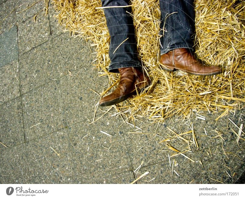 wild west Straw Cowboy Boots cowboyboots cowboy boots Jeans Denim Clothing Legs Lie Death Shoot dead Sacrifice Corpse Exhaustion Sleep flipped Dream Wild West