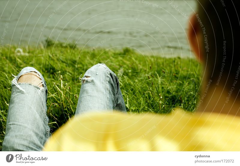 I'm not a buffer. Colour photo Exterior shot Close-up Detail Copy Space left Copy Space right Copy Space top Day Shadow Contrast Sunlight Shallow depth of field