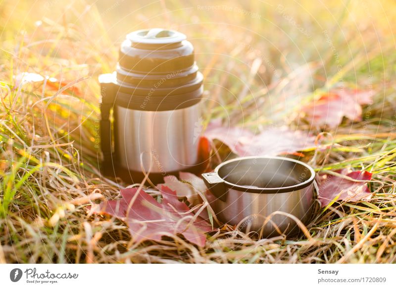 Vacuum flask on autumn background Coffee Tea Bottle Joy Vacation & Travel Trip Adventure Autumn Warmth Grass Leaf Park Metal Steel Hot Red White thermos mug