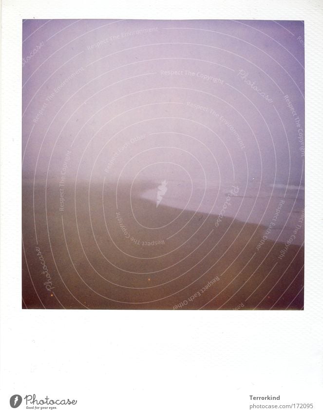 How can two people. Polaroid Scan Sylt Beach Ocean Sand Fog me I've lost my son.