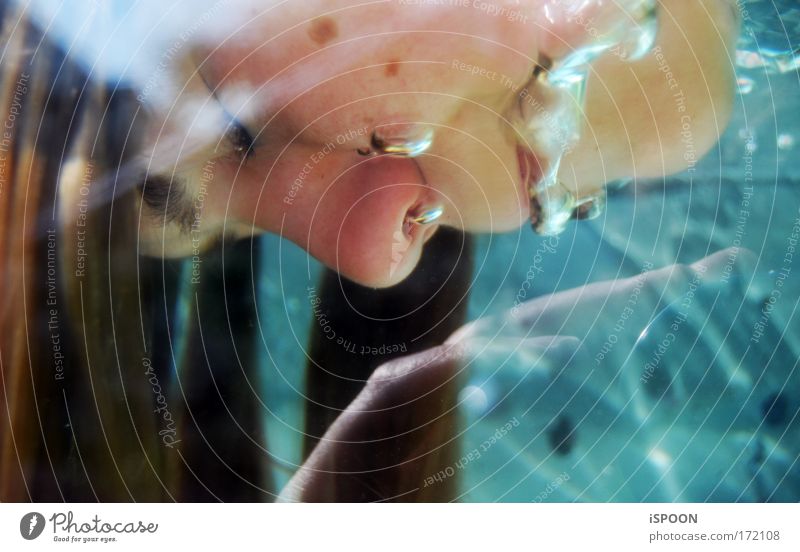 Cool, Cool Water Colour photo Exterior shot Close-up Underwater photo Day Shadow Contrast Reflection Sunlight Central perspective Portrait photograph