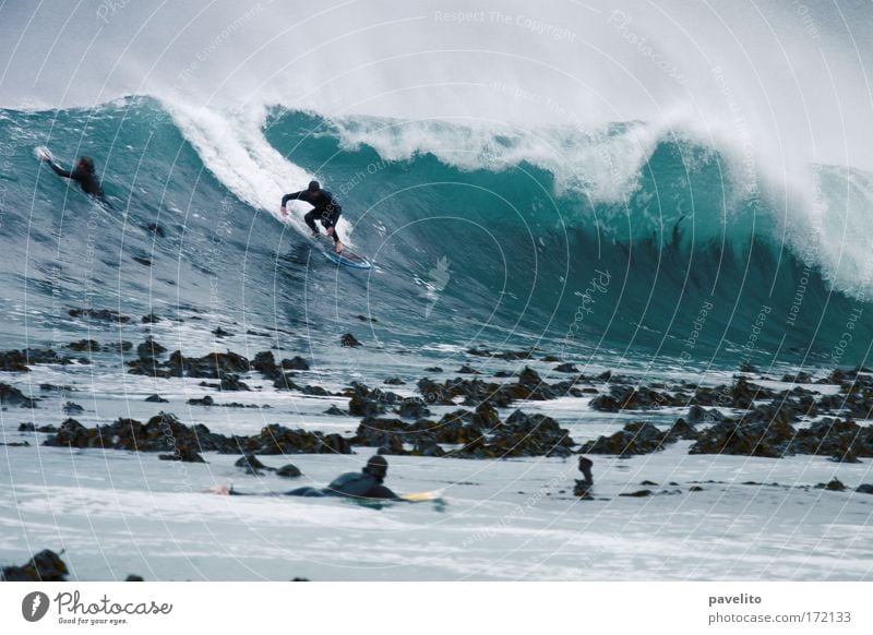 surfer takes off Colour photo Exterior shot Twilight Silhouette Central perspective Aquatics Surfing Water Wind Waves Reef Sports Threat Brave Cold Kelp