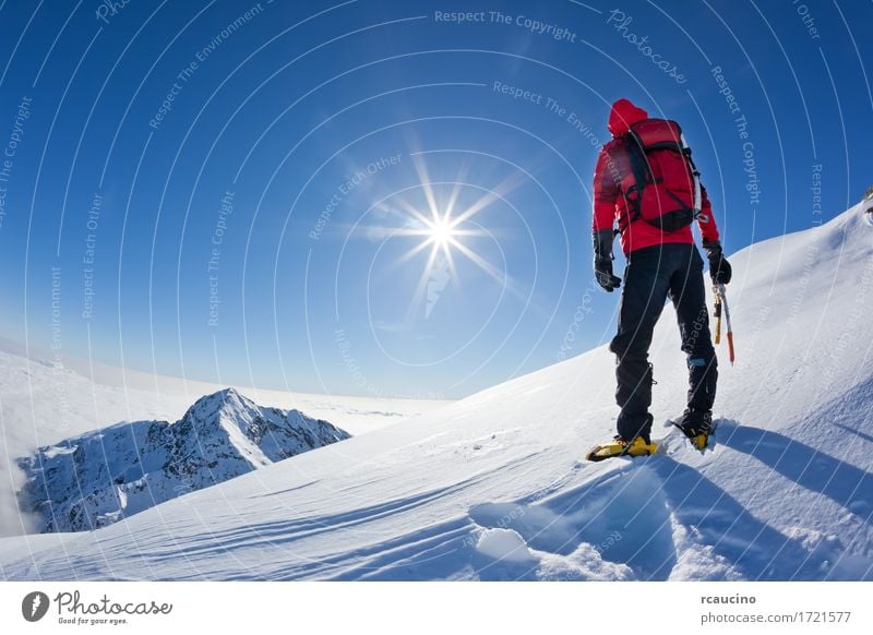 Mountaineer at the top of a snowy mountain Adventure Expedition Sun Winter Snow Sports Climbing Mountaineering Success Man Adults Nature Landscape Sky Alps