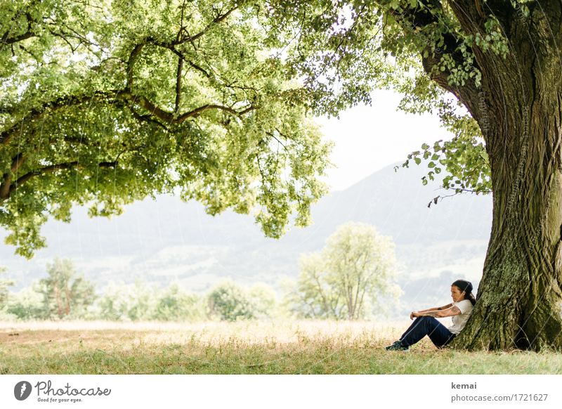 Sitting underneath a tree Lifestyle Harmonious Well-being Contentment Relaxation Calm Leisure and hobbies Vacation & Travel Trip Freedom Summer Human being