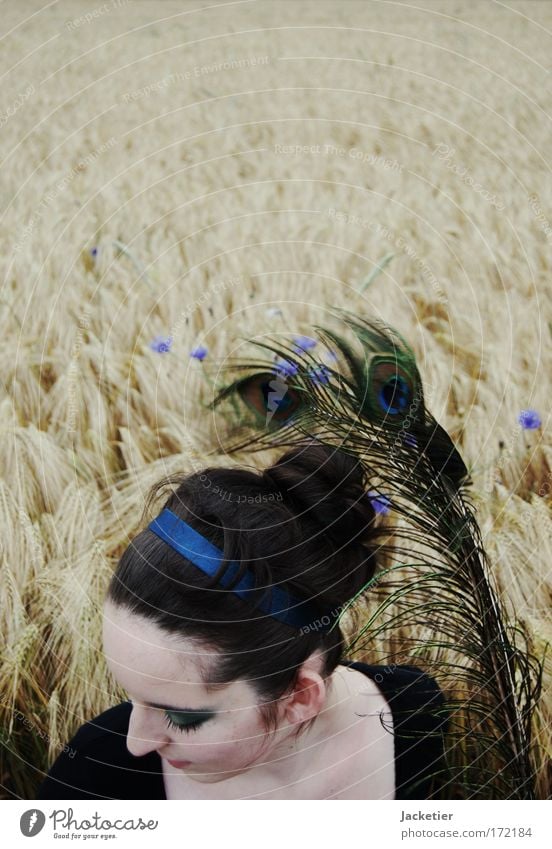 Scattered by the wind... Subdued colour Exterior shot Copy Space left Copy Space right Copy Space top Twilight Bird's-eye view Portrait photograph Feminine