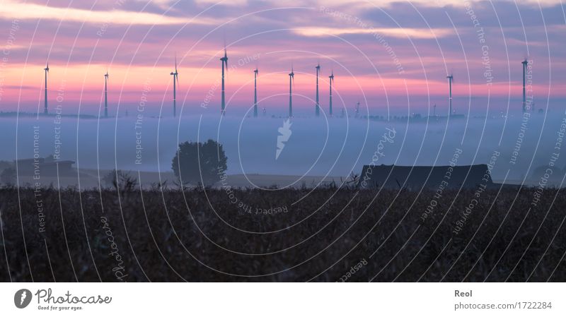 fog band Nature Landscape Clouds Sunrise Sunset Sunlight Summer Weather Beautiful weather Fog Canola field Field Dark Violet Orange Vantage point