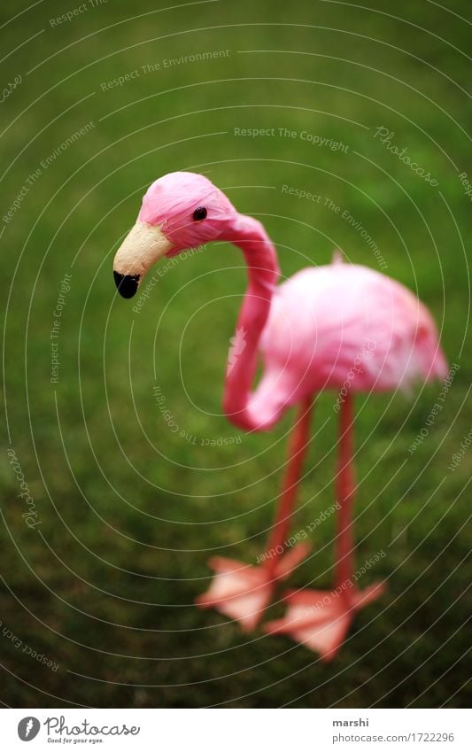 Penelope Nature Landscape Garden Park Meadow Animal 1 Moody Pink Green Flamingo Pet Decoration Funny Animalistic False Metal coil Beak Bird Colour photo