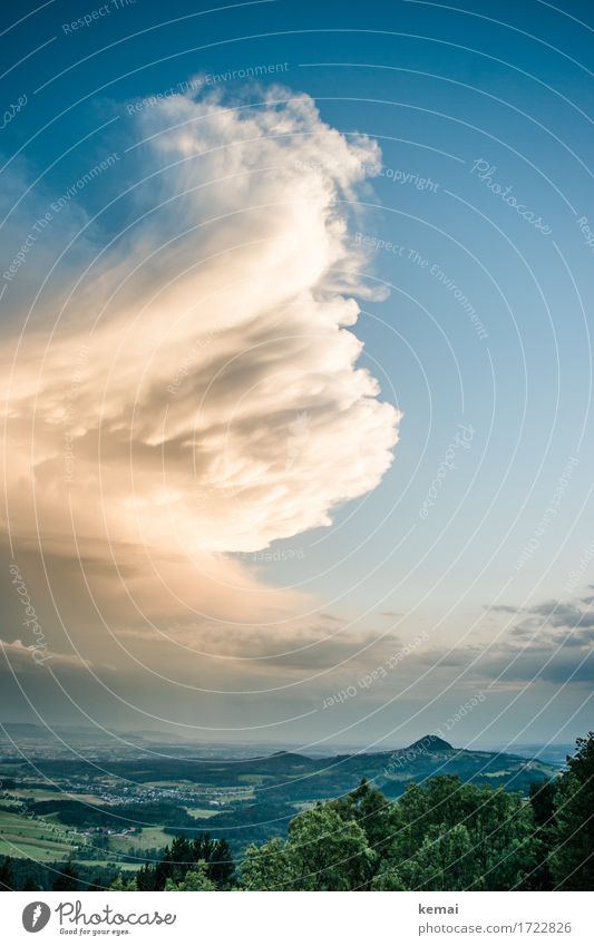 swirl Adventure Far-off places Freedom Environment Nature Landscape Plant Elements Sky Clouds Storm clouds Sunlight Summer Weather Thunder and lightning Tree