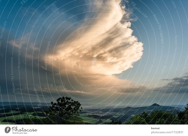 Chased by a storm Adventure Far-off places Freedom Environment Nature Landscape Plant Elements Air Sky Clouds Storm clouds Sunlight Summer Weather Gale Tree