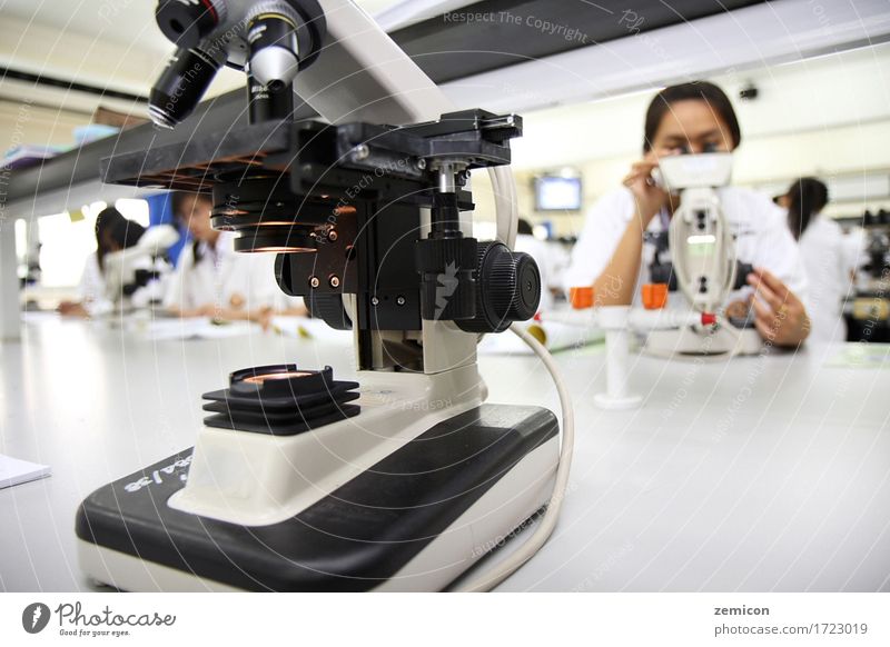 female students in laboratory course. Science & Research School Study Classroom Apprentice University & College student Laboratory Work and employment