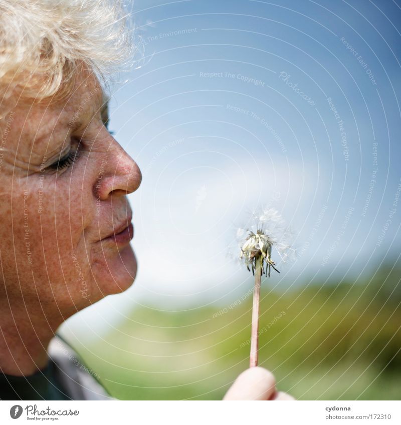 dandelion Human being Woman Adults Female senior Senior citizen Face 45 - 60 years Environment Nature Sky Plant Flower Foliage plant Effort Contentment Movement