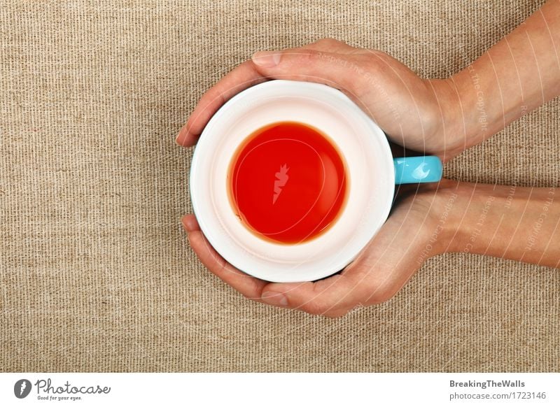 Two woman hands holding empty finished cup of black tea Beverage Hot drink Tea Mug Woman Adults Hand To hold on Embrace Blue Brown Red Black White