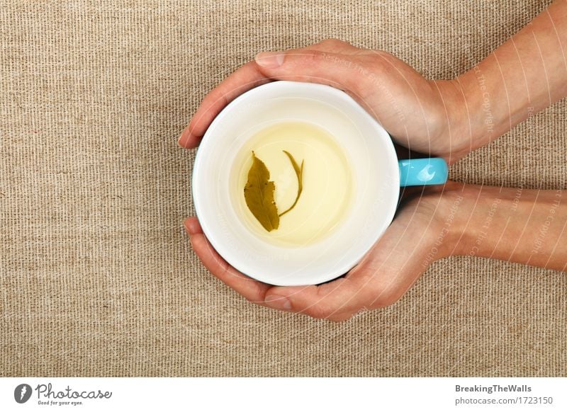 Two woman hands holding empty cup of green tea with leaves Beverage Hot drink Tea Mug Woman Adults Hand Leaf Embrace Blue Green White Safety (feeling of)