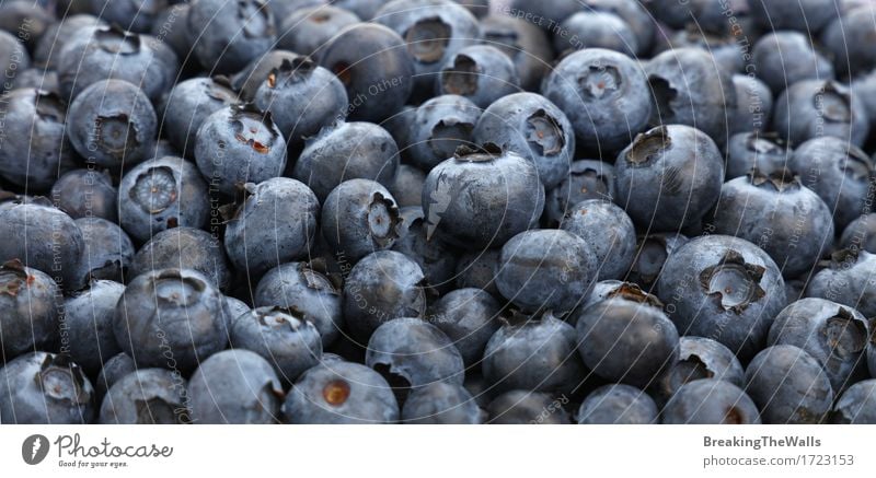 Fresh blueberry berries background pattern close up Food Fruit Nutrition Eating Organic produce Vegetarian diet Diet Healthy Delicious Natural Many Blue