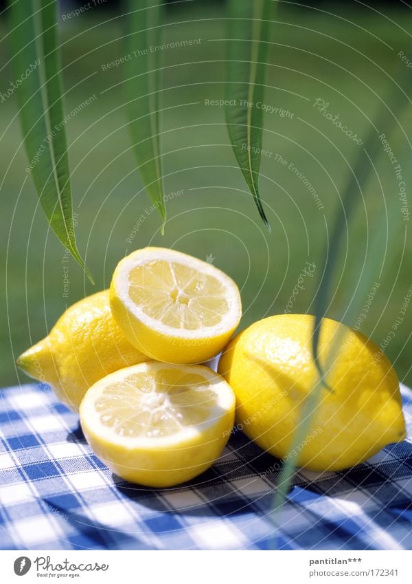 citronella Colour photo Multicoloured Exterior shot Close-up Deserted Copy Space top Day Shadow Contrast Sunlight Sunbeam Blur Shallow depth of field Food Fruit