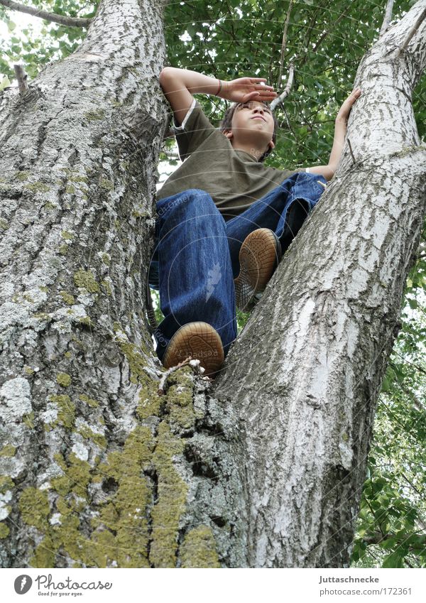 Winnetou Child Infancy Boy (child) lads Climbing Observe Scout Playing Free Above Freedom Vantage point Tree trunk Native Americans Joy Joie de vivre (Vitality)