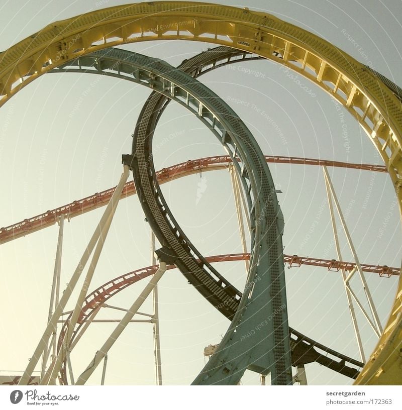 always spinning in circles in life. Colour photo Subdued colour Exterior shot Close-up Deserted Neutral Background Morning Dawn Day Sunlight Sunbeam Sunrise