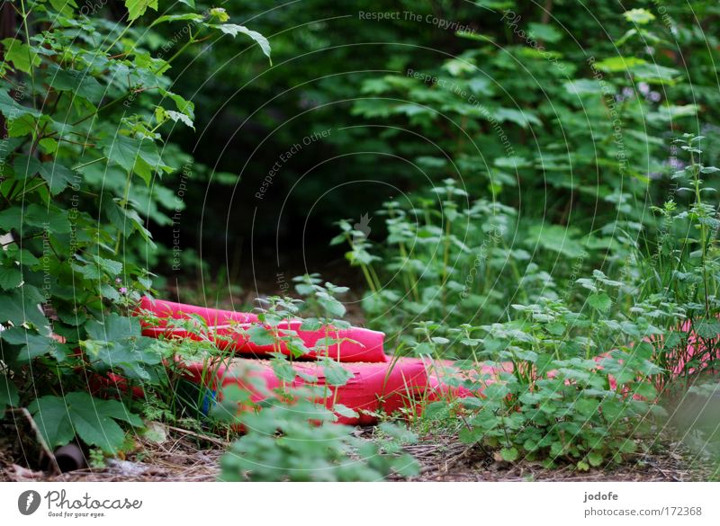 sleeping place Colour photo Multicoloured Exterior shot Deserted Copy Space top Day Shadow Shallow depth of field Environment Nature Earth Plant Grass Bushes