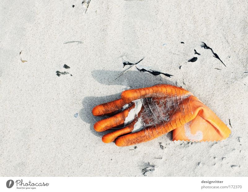 Wave, wave... Colour photo Exterior shot Close-up Detail Deserted Copy Space left Copy Space top Day Shadow Contrast Deep depth of field Fish Seafood