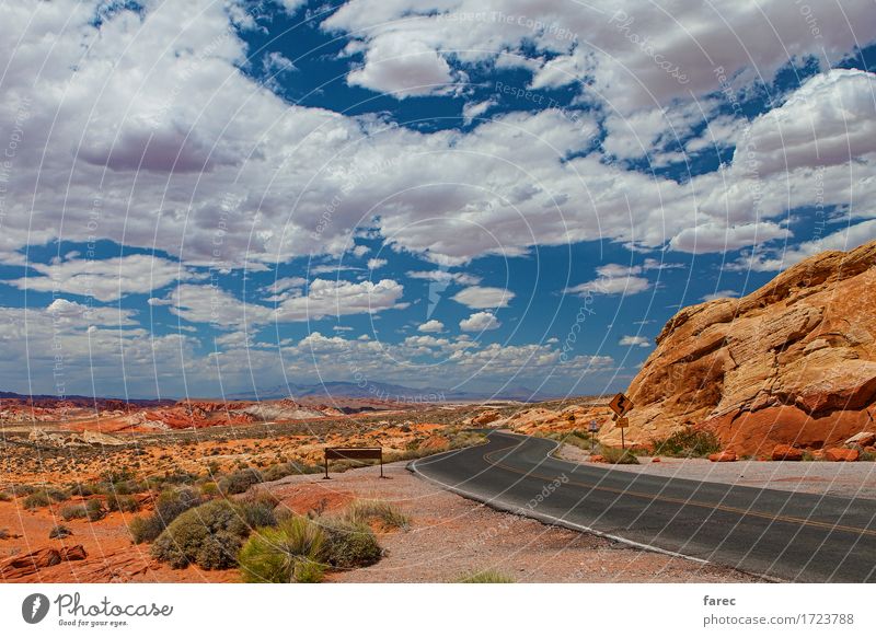 desert road valley of fire Landscape Sand Clouds Sun Summer Beautiful weather Rock Desert Nevada Street Movement Discover Driving Looking Authentic Free Bright