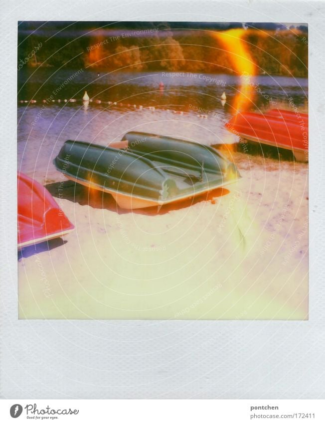 Upside-down pedal boats on the lake Colour photo Multicoloured Exterior shot Polaroid Copy Space bottom Day Light Contrast Light (Natural Phenomenon) Sunlight