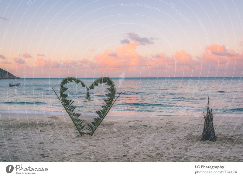 Palm branches tied into the shape of a heart on the beach. Joy Beautiful Vacation & Travel Tourism Beach Ocean Island Valentine's Day Nature Plant Sand Sky