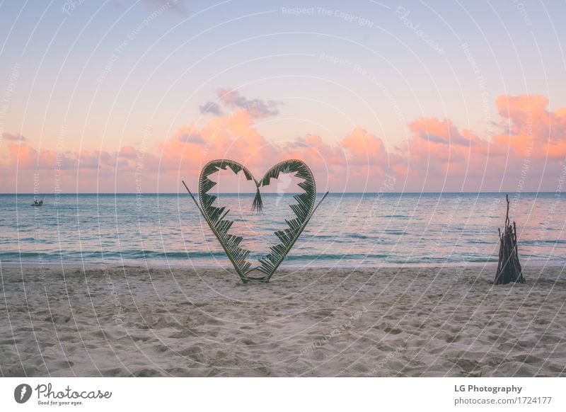 Palm tree branches on a beach. Joy Beautiful Vacation & Travel Tourism Beach Ocean Island Valentine's Day Nature Plant Sand Sky Clouds Horizon Warmth