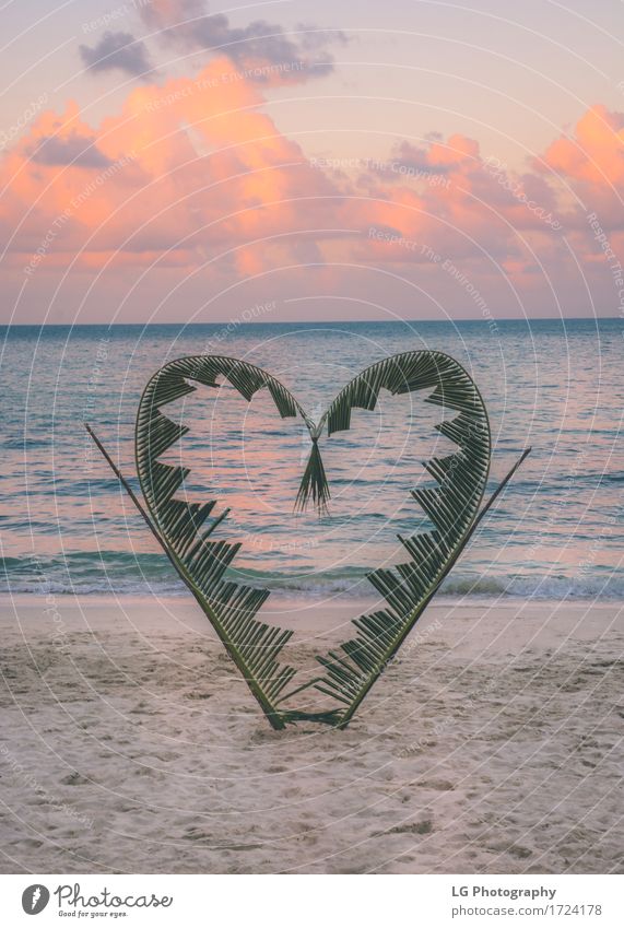 Palm tree branches are tied into the shape of a heart Joy Beautiful Vacation & Travel Tourism Beach Ocean Island Valentine's Day Nature Plant Sand Sky Clouds