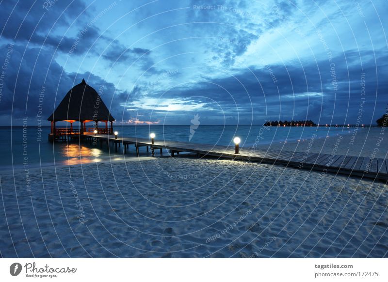 BLUE VELVET Blue Velvet Maldives Angaga Island Colour photo Copy Space bottom Night Night shot Long exposure Sand Beach Summer Ocean Indian Ocean Footbridge