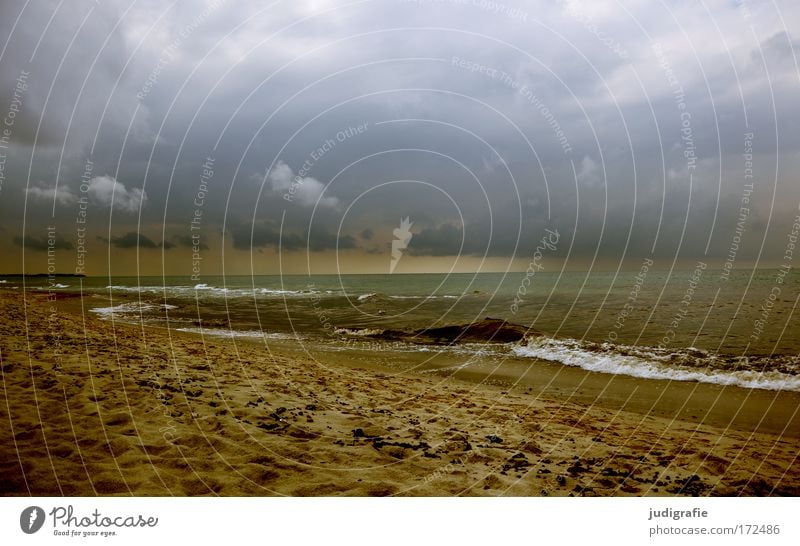 Baltic Colour photo Subdued colour Exterior shot Deserted Day Evening Environment Nature Landscape Water Sky Sunrise Sunset Climate Weather Coast Beach