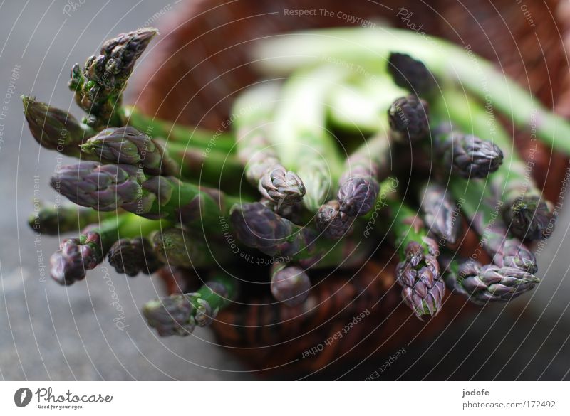 asparagus crop Colour photo Exterior shot Deserted Copy Space top Day Shallow depth of field Food Vegetable Asparagus Nutrition Organic produce Vegetarian diet