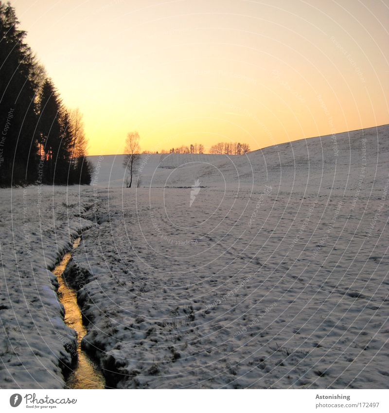 warm winter landscape Environment Nature Landscape Water Sky Cloudless sky Winter Weather Beautiful weather Snow Tree Bushes Meadow Bright Cold Reflection Brook