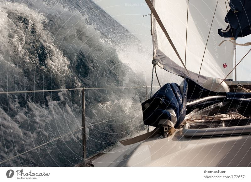 Sailing or Rumregatta Colour photo Exterior shot Copy Space left Copy Space bottom Day Light Shadow Sunlight Wide angle Joy Leisure and hobbies