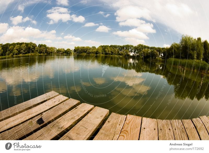 Swing at the lake Colour photo Exterior shot Deserted Day Light Reflection Sunlight Fisheye Leisure and hobbies Vacation & Travel Freedom Sunbathing Environment