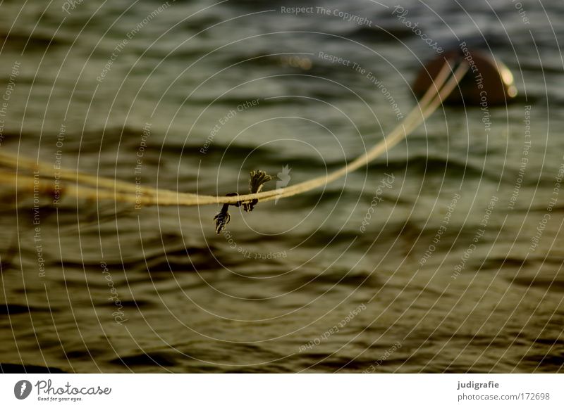 harbor Colour photo Subdued colour Exterior shot Day Nature Water Coast Baltic Sea Ocean Lake Harbour Movement Dark Simple Firm Safety Protection Knot Buoy Rope