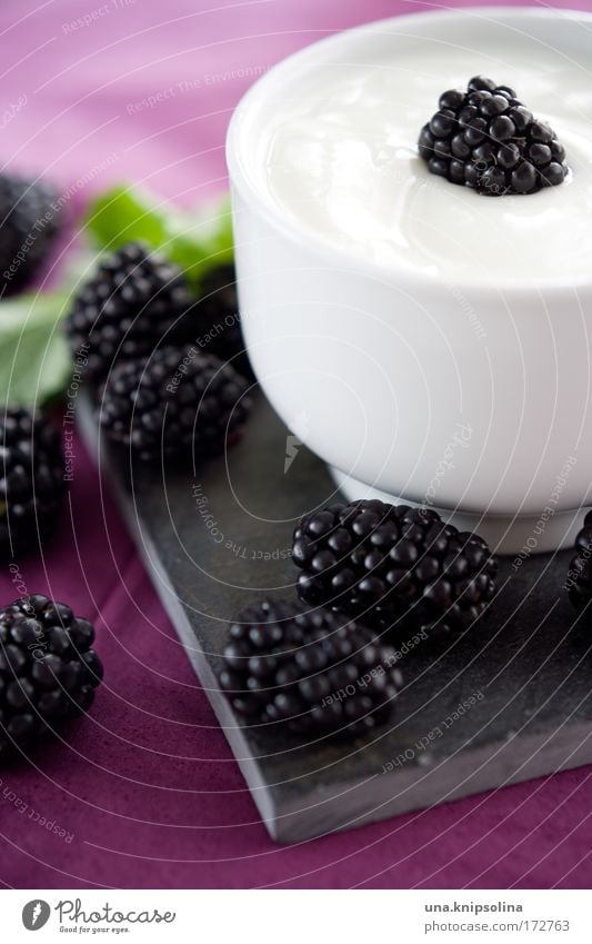 blackberry Food Yoghurt Dairy Products Fruit Dessert Nutrition Breakfast Organic produce Vegetarian diet Diet Blue Violet Pink Berries Blackberry Healthy