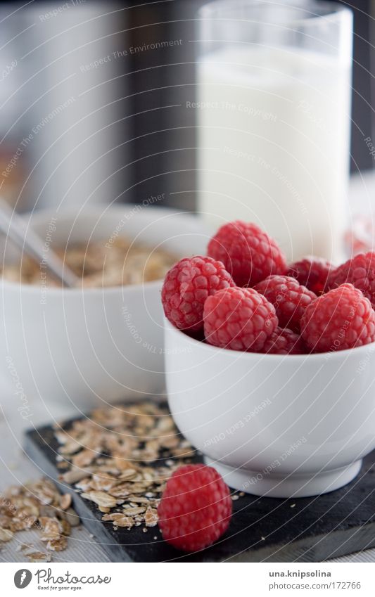 good morning Food Dairy Products Fruit Grain Nutrition Breakfast Organic produce Vegetarian diet Diet Milk Healthy Red White Raspberry Berries Cereal Oat flakes