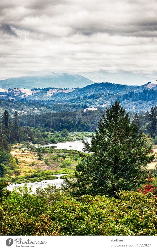 wilderness Nature Landscape Clouds Summer Weather Tree Forest Mountain Peak River Hiking Wilderness Idyll USA Oregon Colour photo Multicoloured Exterior shot