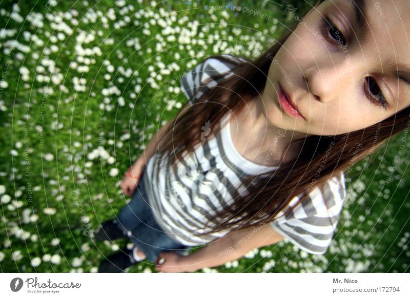 From head to toe Fisheye Girl Head Hair and hairstyles Face Nose Mouth Lips Grass T-shirt Long-haired Observe Dream Wait Cool (slang) Thin Beautiful