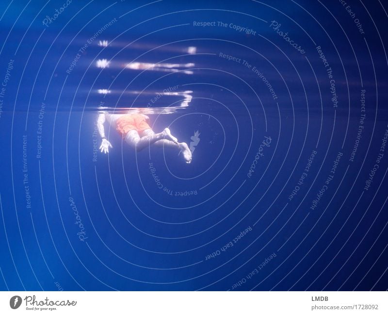 water horizon Aquatics Swimming & Bathing Human being Masculine Man Adults Body 1 30 - 45 years Water Waves Ocean Dive Wet Blue Surface of water Reflection