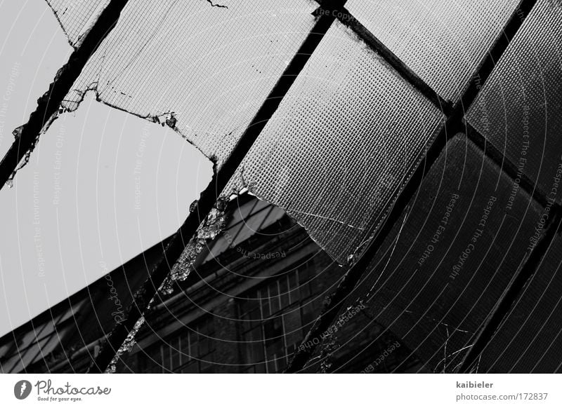 Perspective II Black & white photo Exterior shot Deserted Copy Space right Copy Space top Wittstock Industrial plant Factory Facade Window Brick facade Skylight