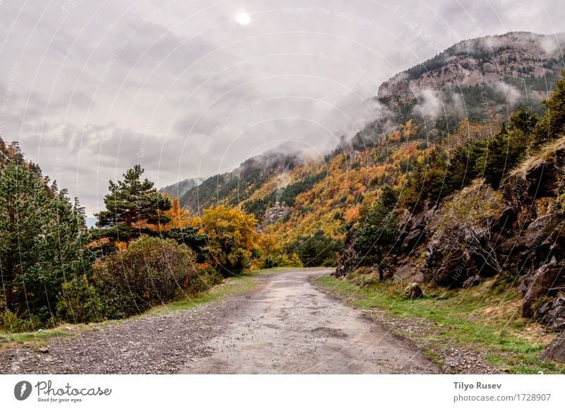 Autumn in the Pyrenees Beautiful Mountain Environment Nature Landscape Sky Clouds Leaf Park Forest Hill Places Natural Blue Green Red Colour aisa aragon