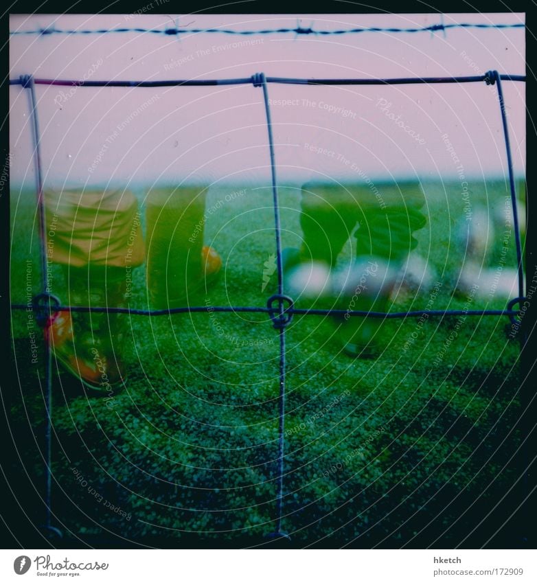 seven-league boots Colour photo Exterior shot Experimental Lomography Summer vacation Girl Infancy 2 Human being 3 - 8 years Child 8 - 13 years Sky Meadow