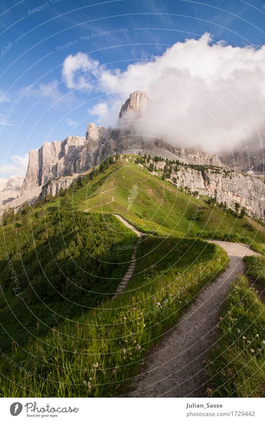 Narrow ridge Environment Nature Landscape Elements Sky Clouds Sun Sunlight Summer Beautiful weather Plant Flower Grass Rock Alps Mountain Peak Adventure