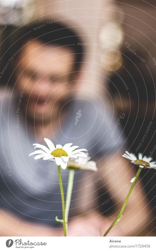 AST 9, the background does it. Human being Masculine Young man Youth (Young adults) 1 Plant Flower Marguerite Sit Esthetic Beautiful Colour photo Interior shot