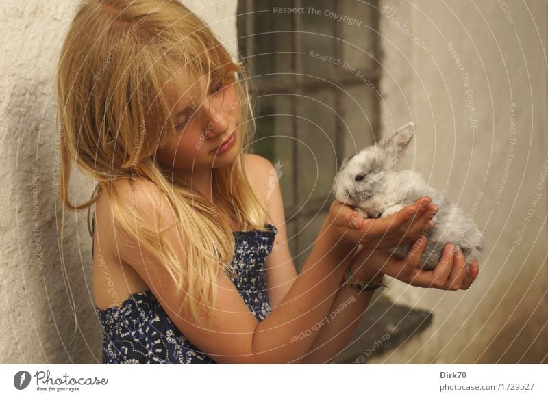 In tender hands: Girl with rabbit in her hands. Agriculture Forestry Human being Child 1 8 - 13 years Infancy Summer Farm Wall (barrier) Wall (building) Window